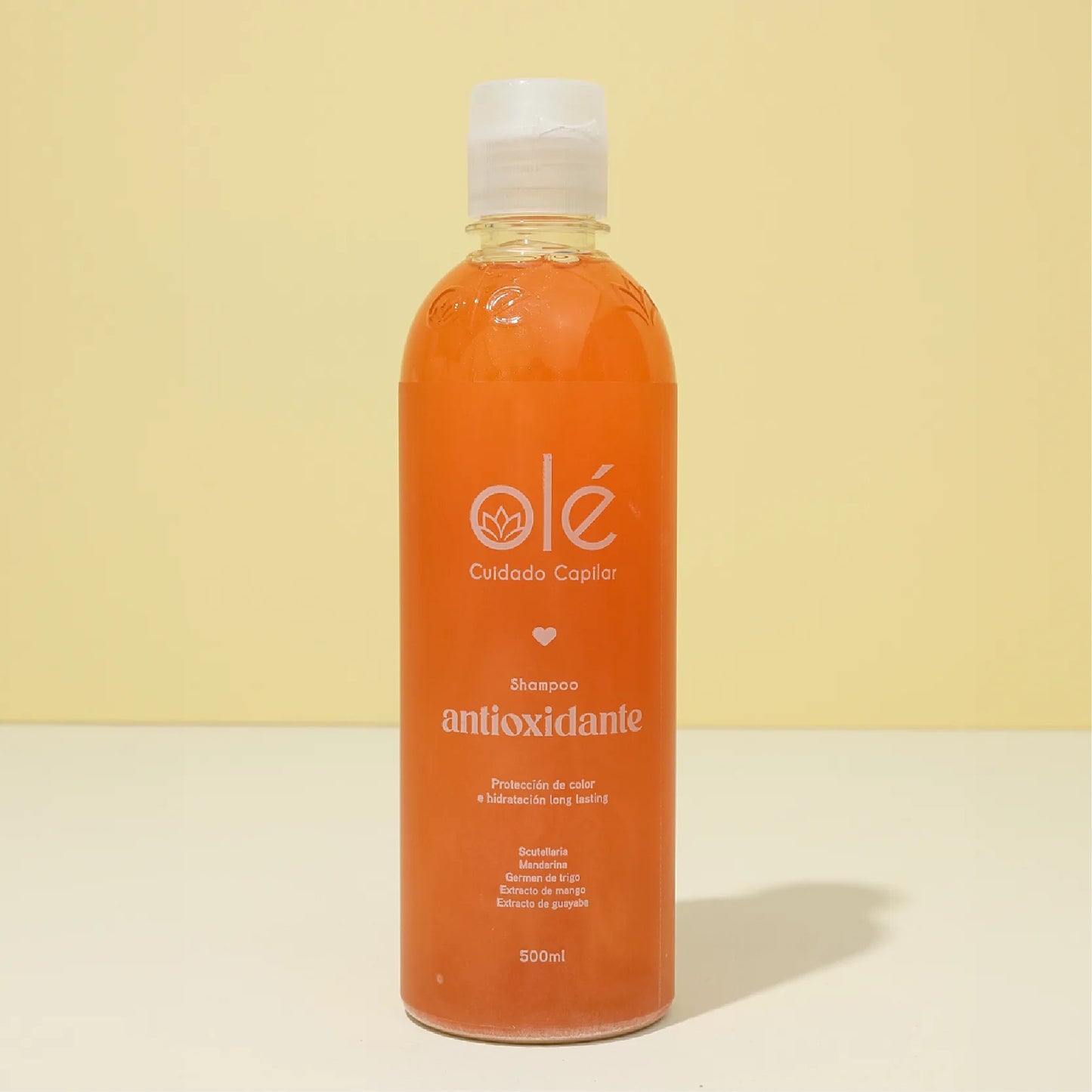 SHAMPOO MIX DE FRUTAS ANTIOXIDANTE