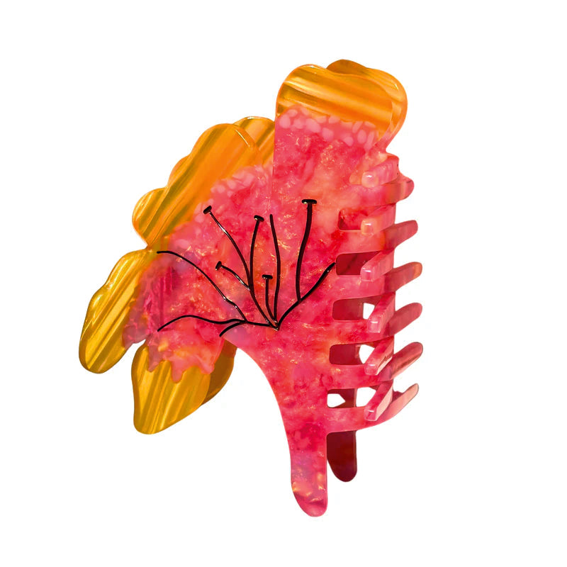 HAIR CLIP RENESME HOGAR - FLOR SAN JOAQUÍN