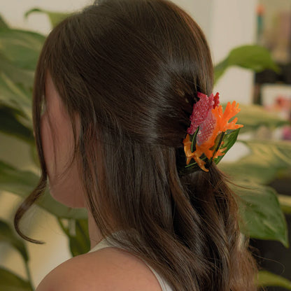 HAIR CLIP RENESME SOFI - AVE DEL PARAISO