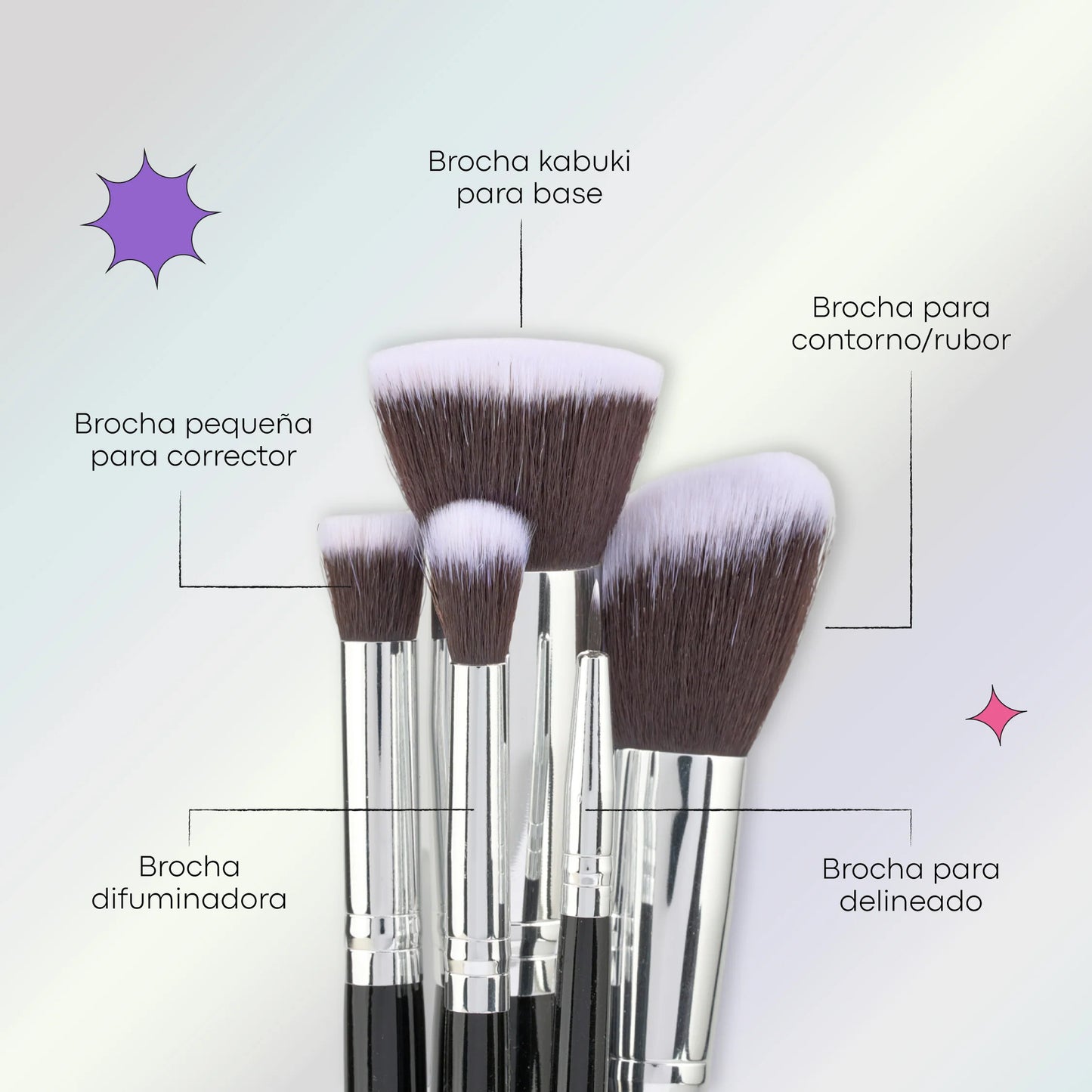 KIT DE BROCHAS X10 LULA ACADEMY