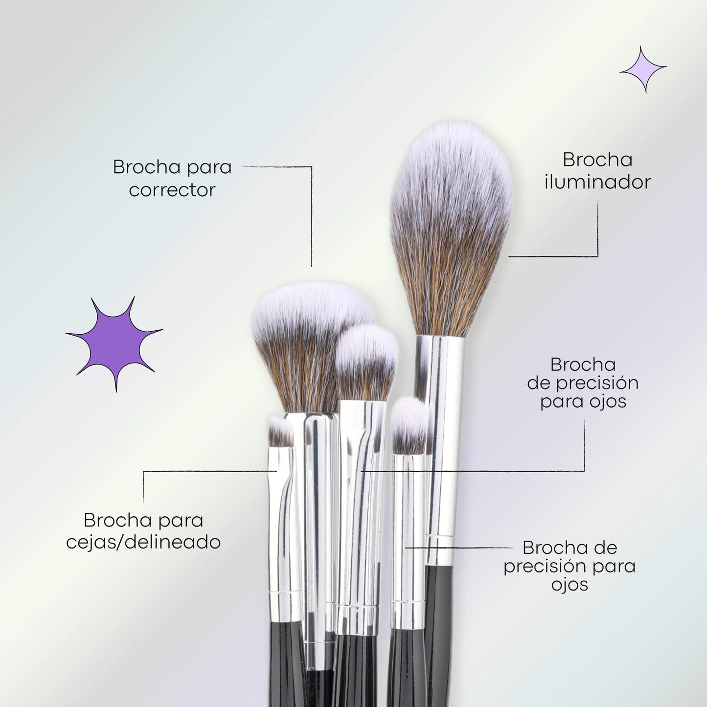 KIT DE BROCHAS X 10 LULA ECLIPSE
