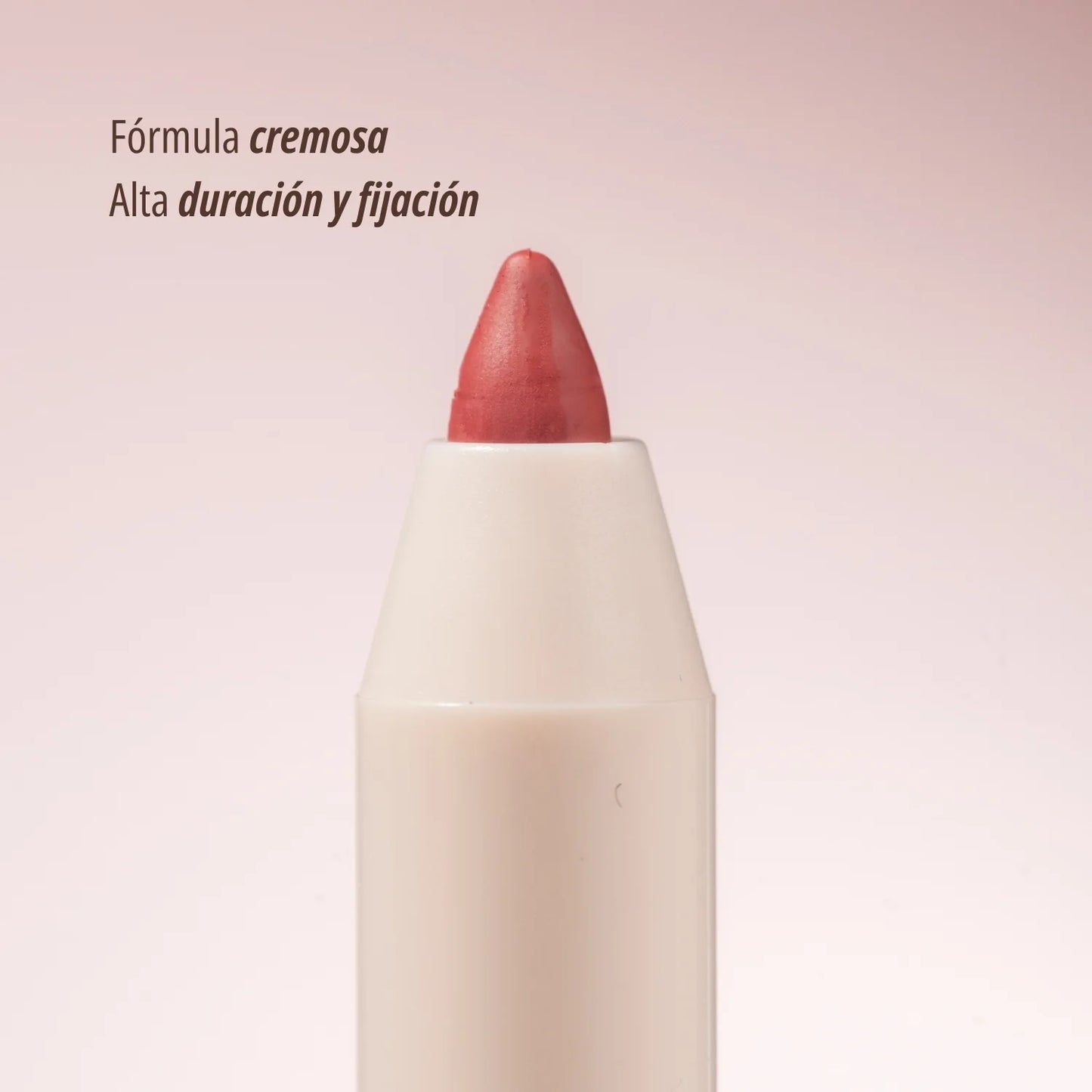 LÁPIZ DE LABIOS ANI-K KISS DEFINITION