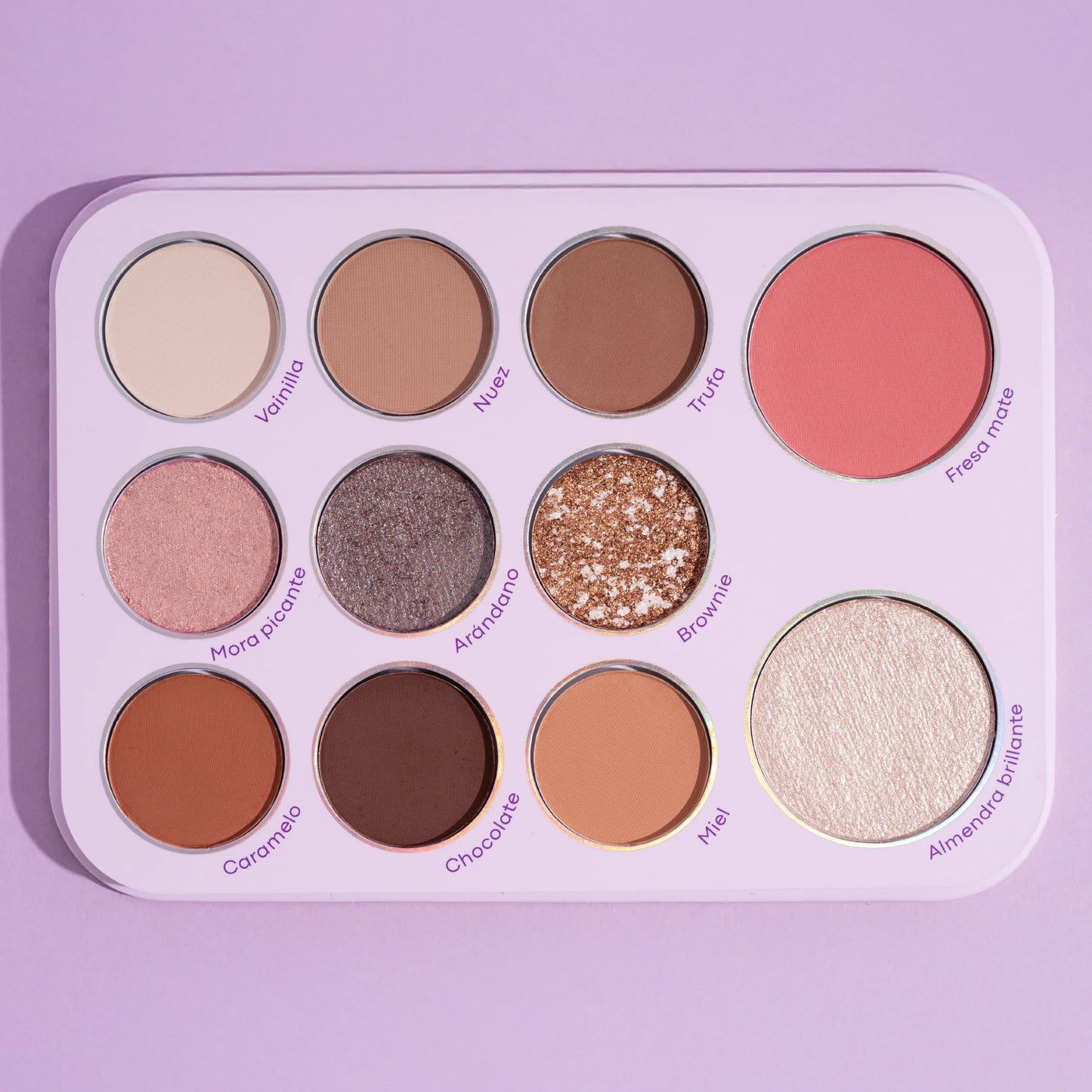 PALETA TODO EN UNO