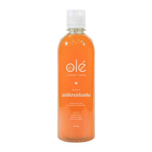 SHAMPOO MIX DE FRUTAS ANTIOXIDANTE